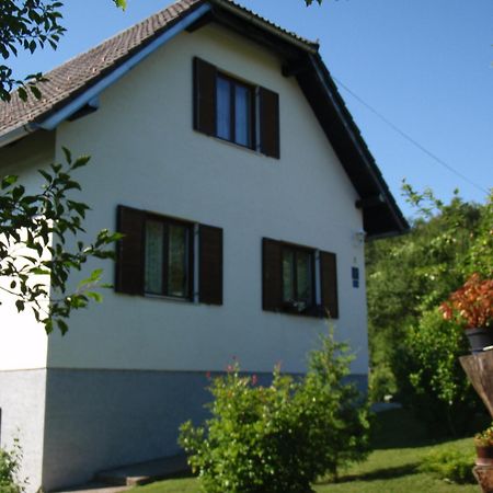 House Nina Appartement Poljanak Buitenkant foto