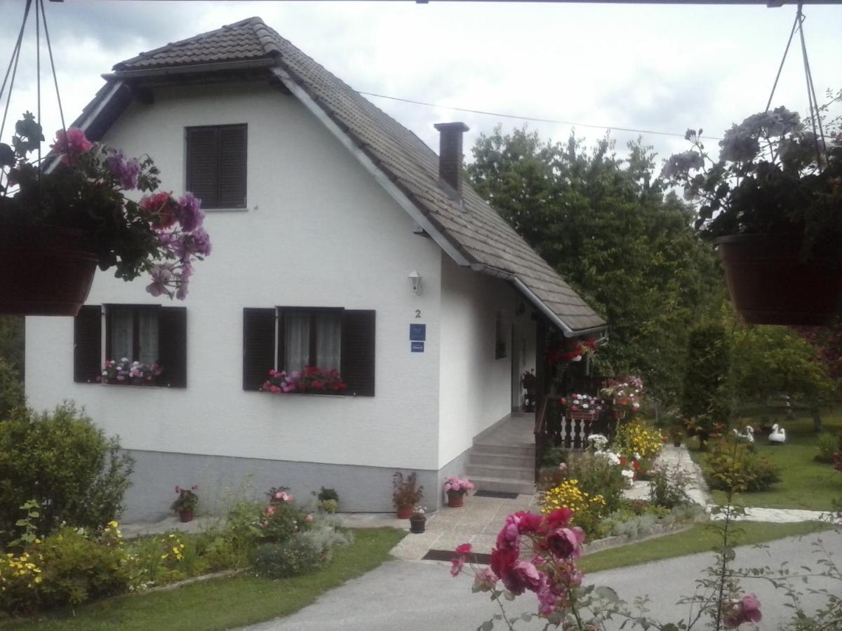 House Nina Appartement Poljanak Buitenkant foto